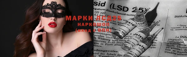 скорость Новозыбков