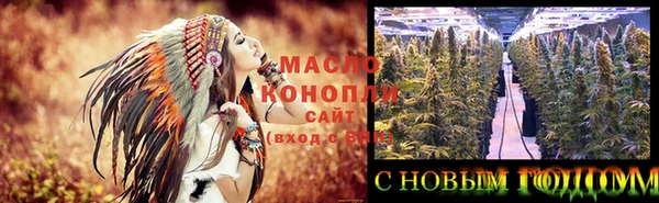 скорость Новозыбков